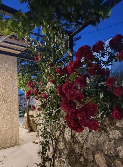 Villa Aiolia Kondoyenádha 외부 사진